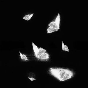 医生把我添高潮了A片
